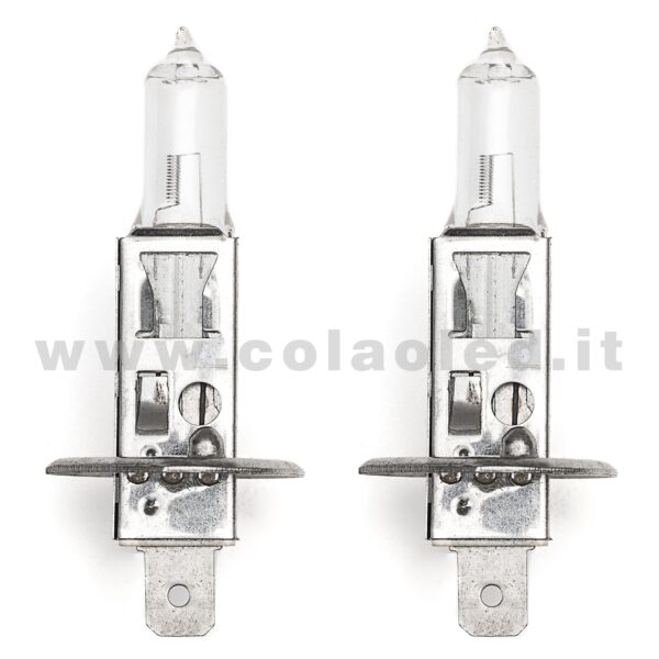 H1 2 LAMPADE ALOGENO GIALLO 12V 55W H1