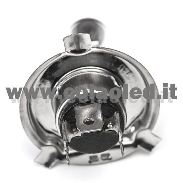 H4 1 LAMPADA ALOGENO GIALLO 12V 55W H4 - immagine 3