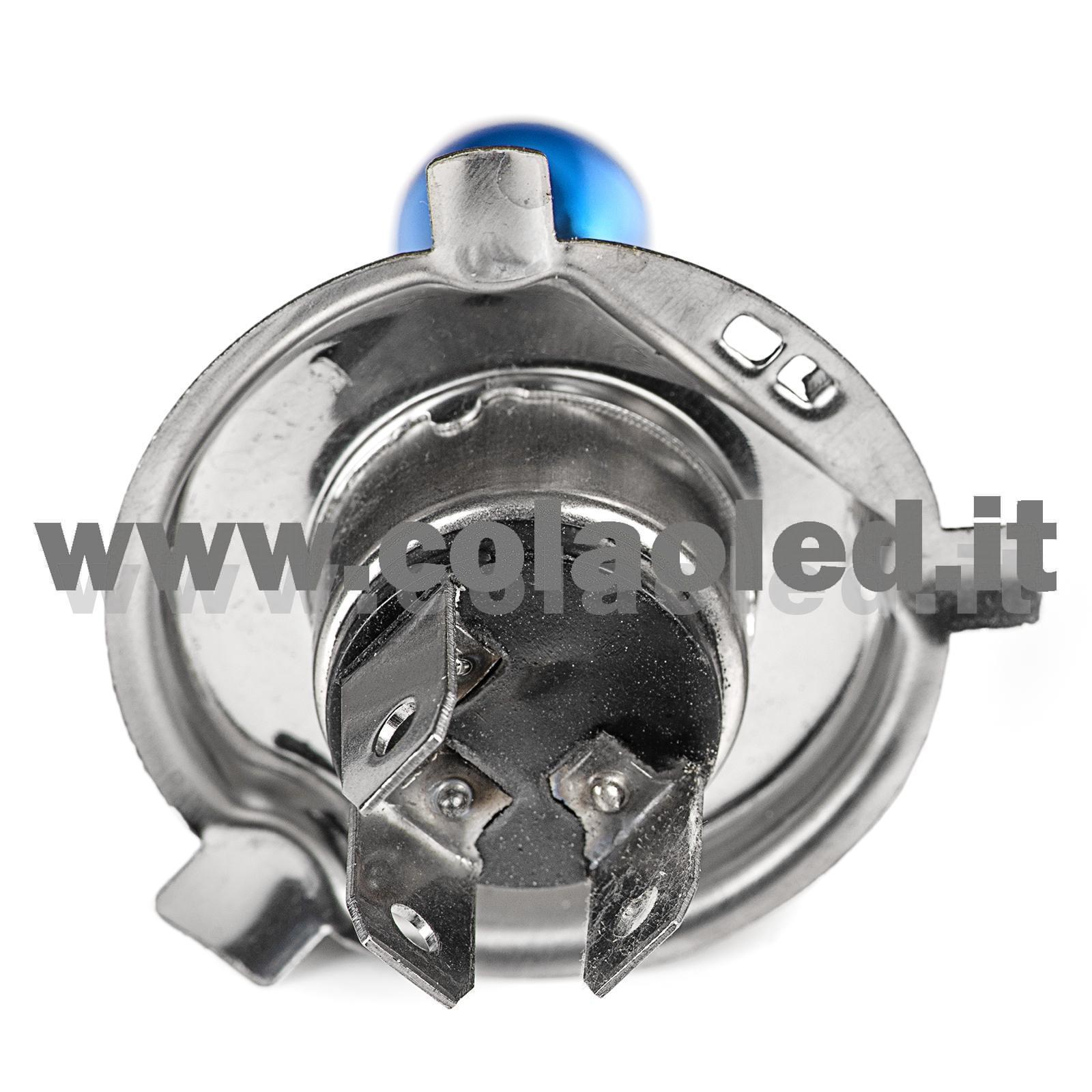 H4 1 LAMPADA ALOGENO BIANCO 12V 55W H4 - immagine 3