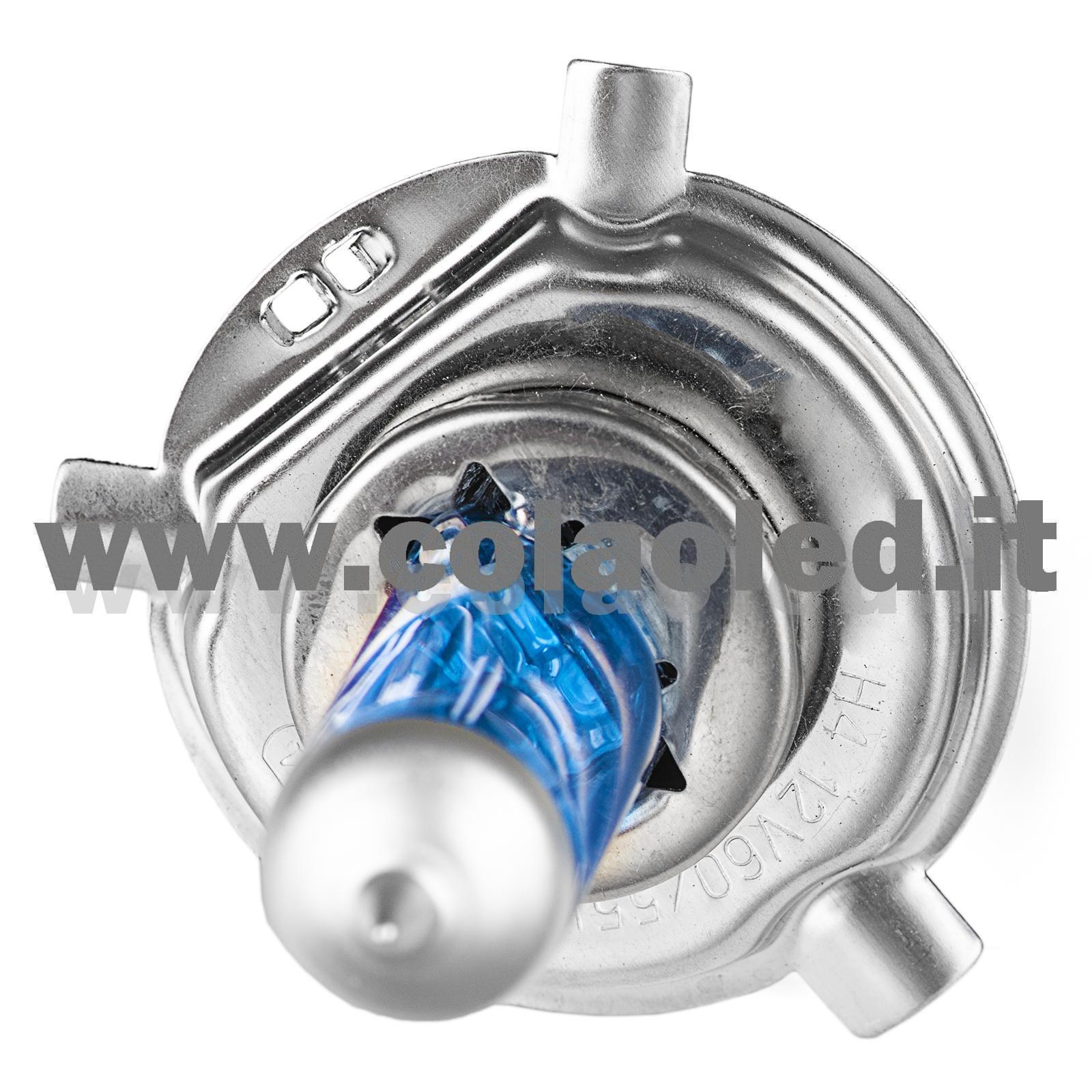 H4 1 LAMPADA ALOGENO BIANCO 12V 55W H4 - immagine 2