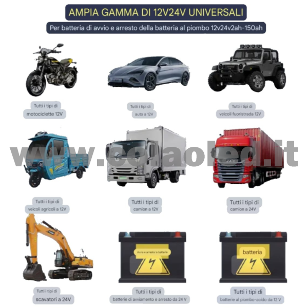 Caricabatteria e mantenitore di carica per Auto Moto scoter camion camper 10 Ah con Funzione di Carica Rapida per Batterie al Piombo 12-24V con filo Portatile 220v con filo - immagine 3